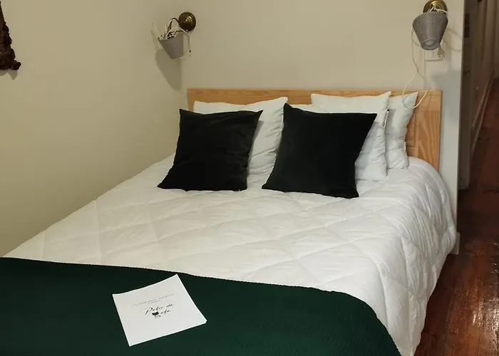 Patio Da Gata بيت ضيافة كويمبرا