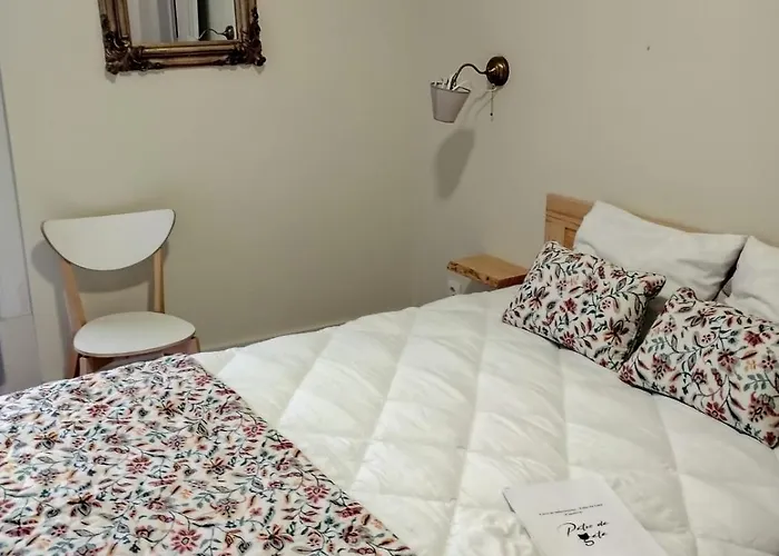 Pensión Pátio Da Gata Coímbra
